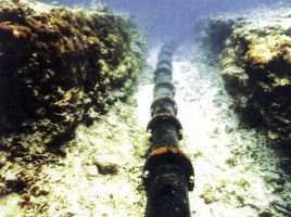 Submarine cable