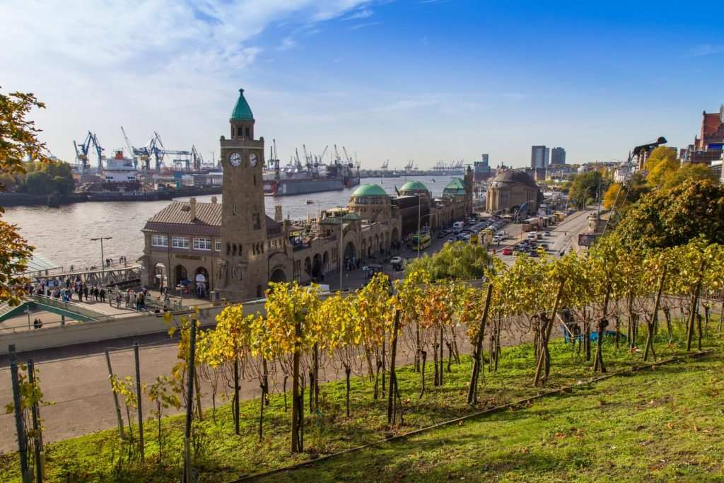 Wein aus dem Norden – Winzer entdecken Norddeutschland 