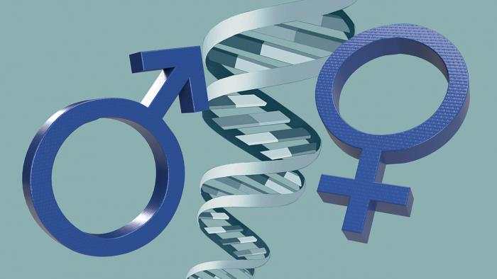 Wie steht es denn nun mit den Geschlechtern – rein wissenschaftlich?