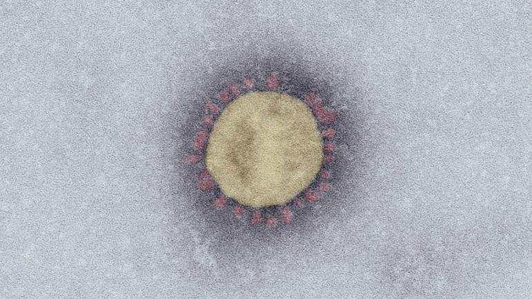 Navigation und Service Coronavirus: Das ist der Stand bei der Impfstoff-Entwicklung : Datum: 26.05.2021 , Thema: Coronavirus Fußbereich 