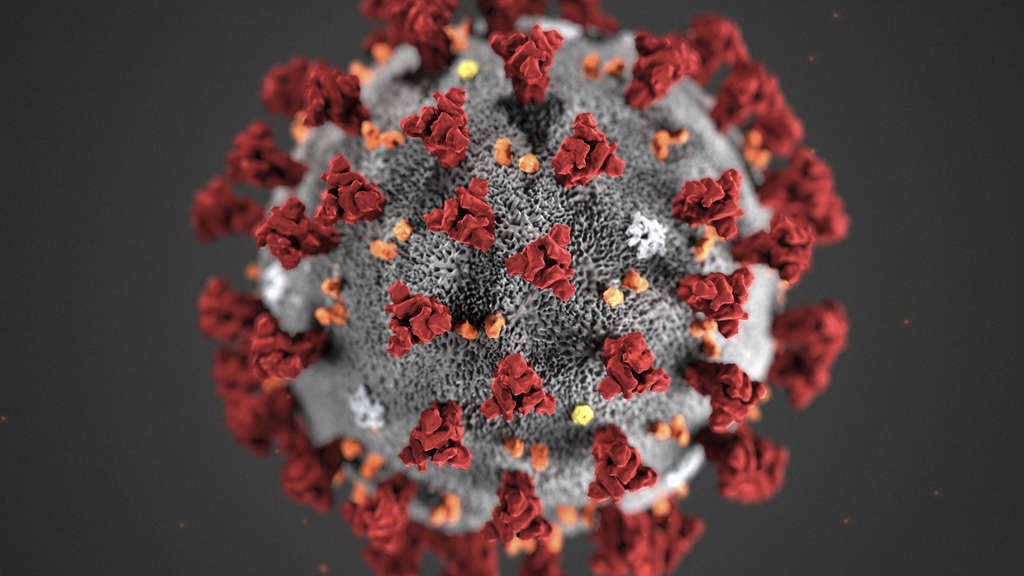 Coronavirus und die Krankheit Covid-19: Fragen und Antworten 