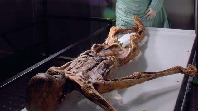 Paleogenética: el archivo de los huesos