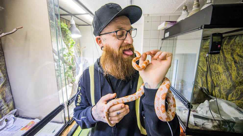 Patrick Meyer wohnt mit 750 Spinnen, Schlangen und EchsenMein Python lebt im Kinderzimmer 