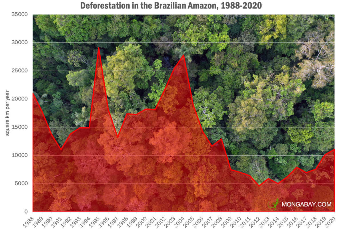 Lidl und McDonalds – stehen wegen Entwaldung in Brasilien in Kritik – How your chicken is linked to deforestation in Brazil 