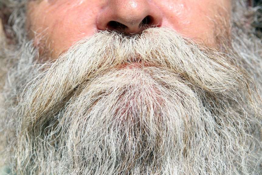 Men 'grew beards to stop being punched in the face', and other whacky science research 