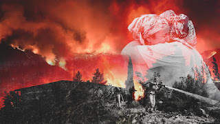 Nrw People's Assemblies Statement: Those Who Burn Our Forests and Do Not Take Precautions Against Fires Are Traitors! 