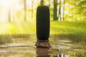 Ecological tires: are they really economical?