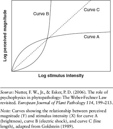 Weber Fisher's Law