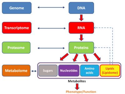 proteome