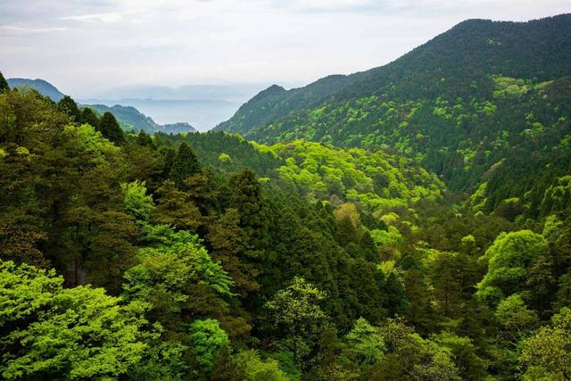 Lushan National Forest Park 