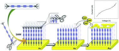 Molecular electronic device 