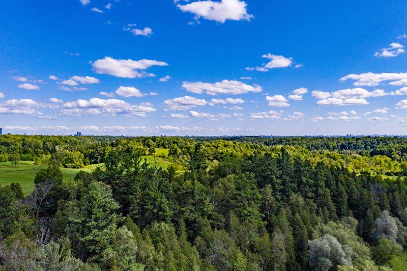 Heilongjiang Tangwang River National Park