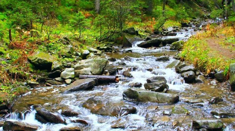 Heilongjiang Tangwang River National Park 