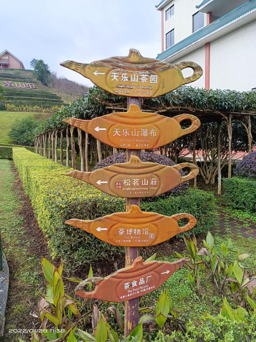 Jiajiang Tianfu Sightseeing Tea Garden 