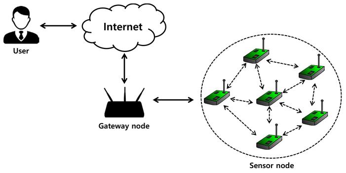 Wireless sensing network 
