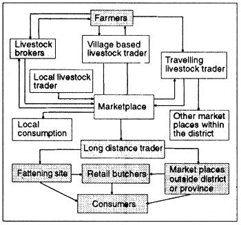 Agricultural product market system