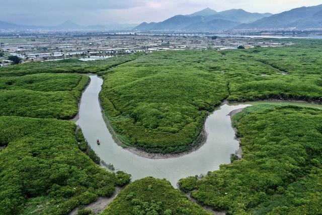 Riserva naturale nazionale della mangrovia di Minjiangkou