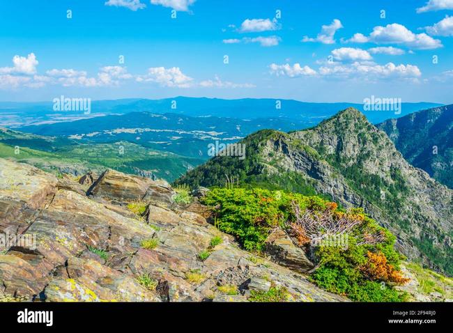 Balkánský národní summit