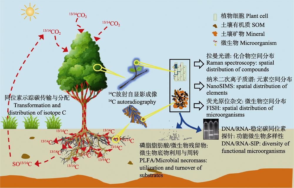 Isotope trace technology