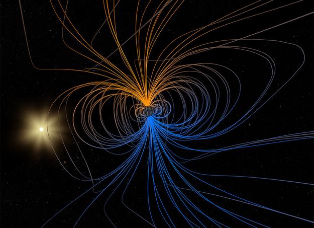 Portrait magnetic field