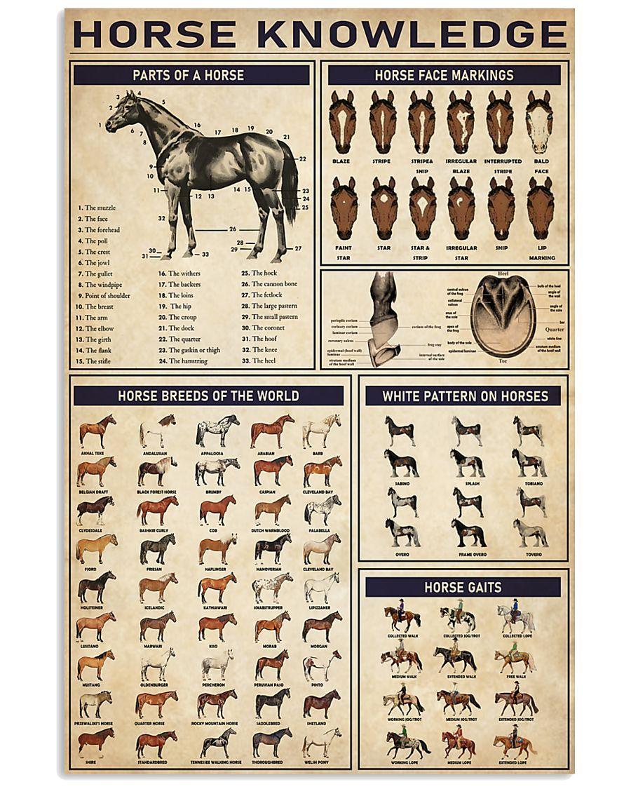 Old horse knowledge