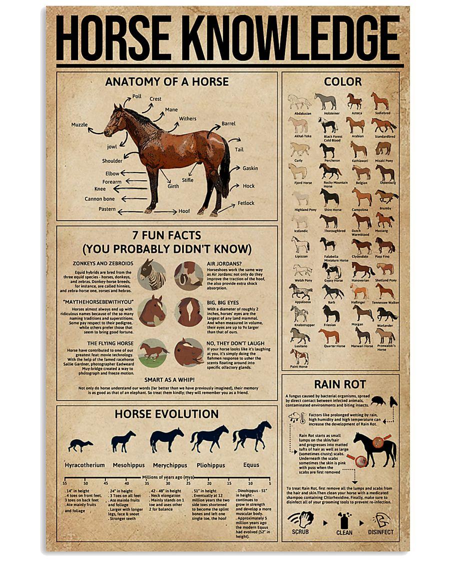Old horse knowledge 