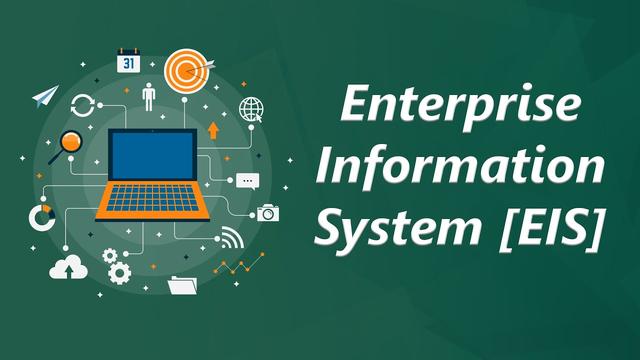 Enterprise information system