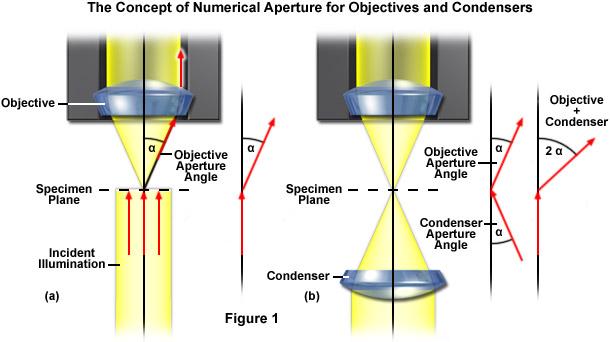 Numerical aperture 