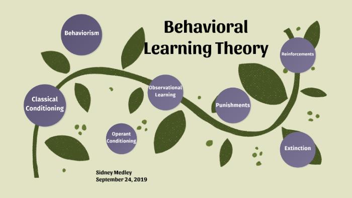 Behavioral Learning Theory 