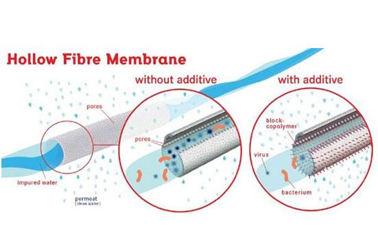 Hollow fiber 