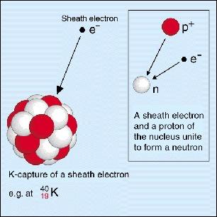 Electronic capture 