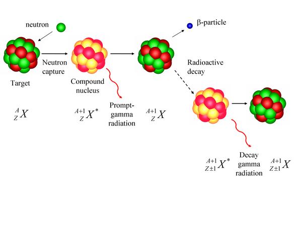 Neutron capture