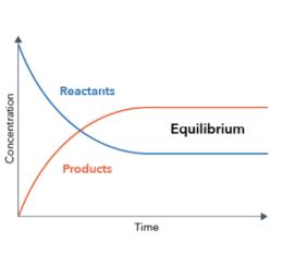 Chemical equilibrium state 