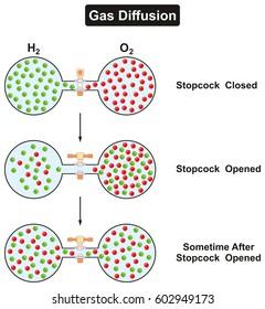 Gas diffusion 