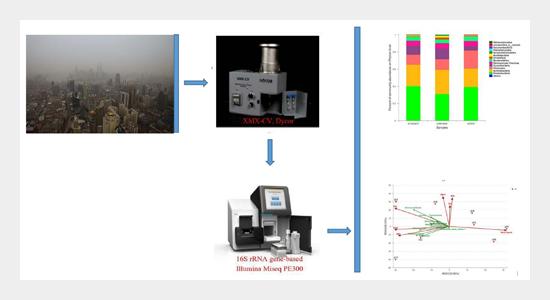 Microbial aerosol 