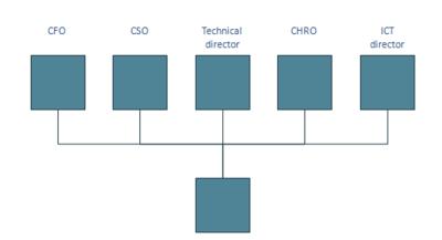 Linear functional organizational structure 