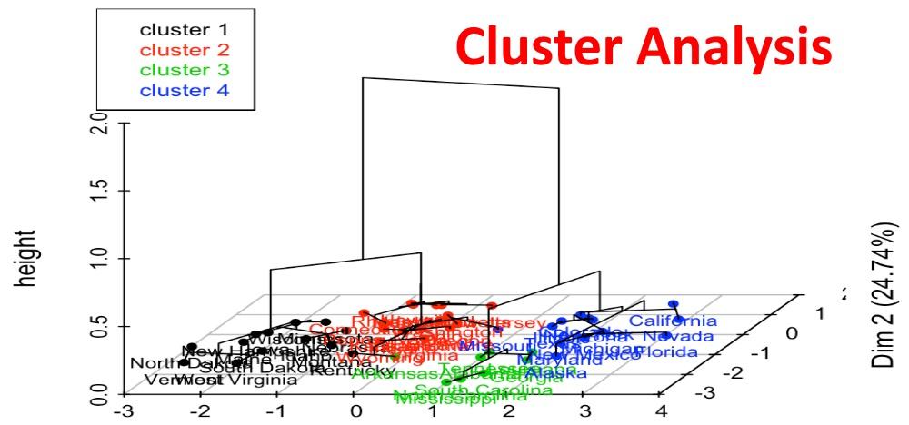 Cluster analysis 