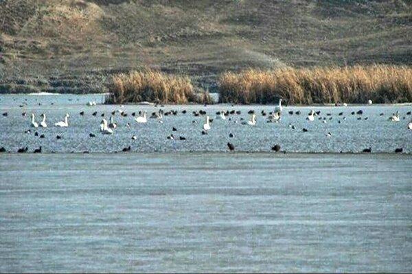 International important wetland