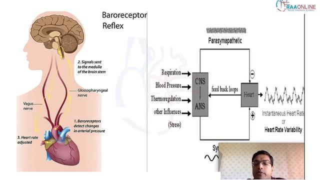 Heart interaction