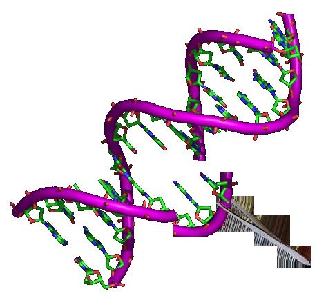 Gene Engineering