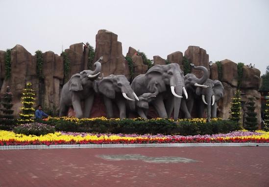 Changsha Zoo 