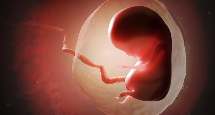 Schwangerschaft und Paracetamol: Eine große wissenschaftliche Studie mahnt zur Vorsicht