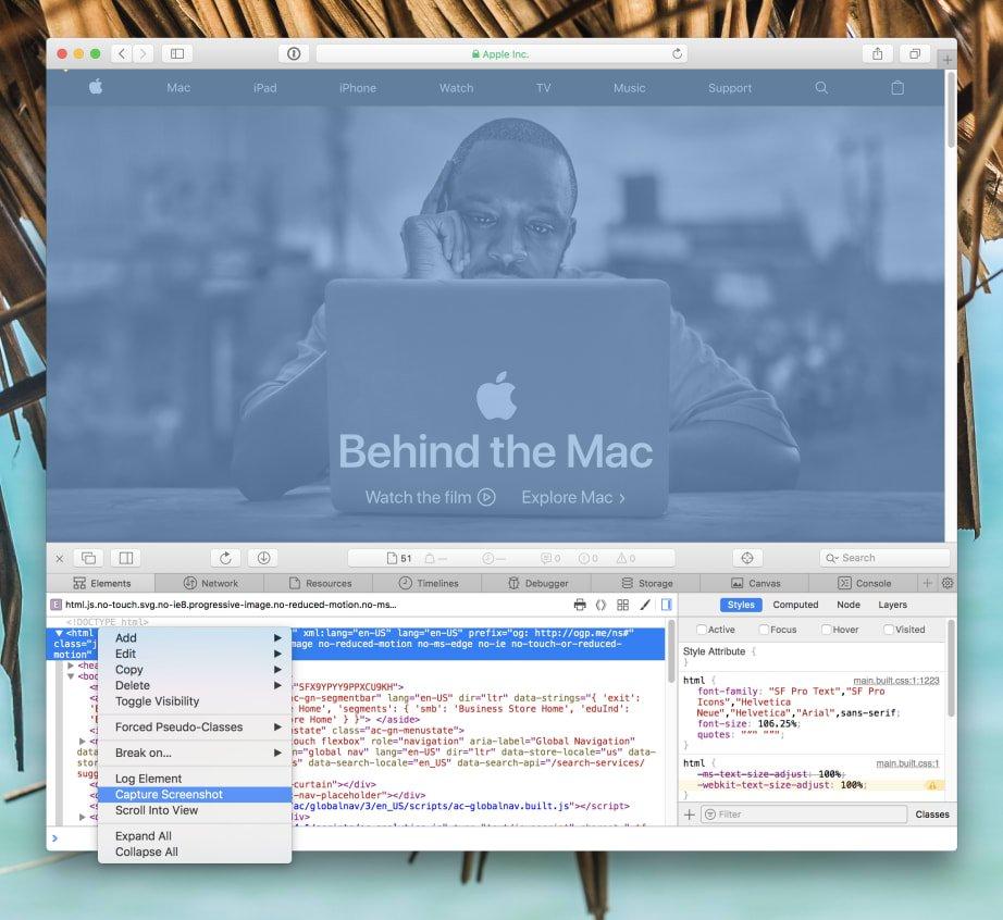Safari on the Mac: How to create a screenshot from a website without additional software