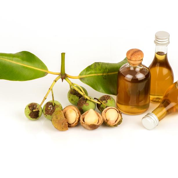 Aceite Tamanu: aplicación y efecto del aceite exótico