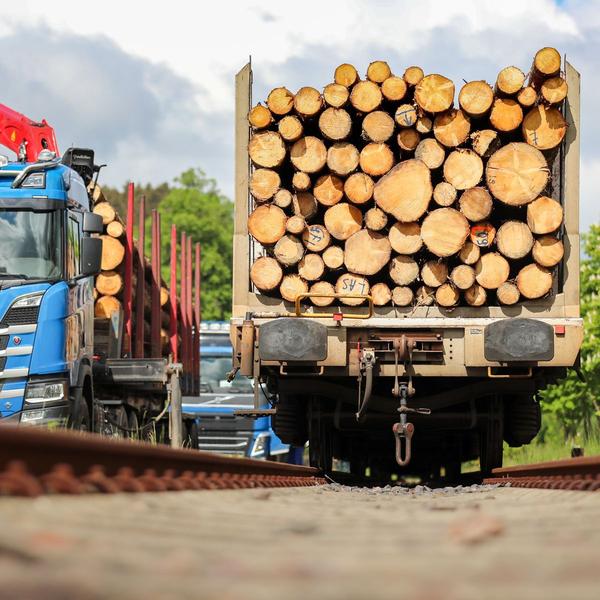 Holzpreise und Sägestreik: Wird Holz in Deutschland zu teuer und knapp? 