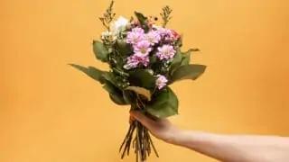 Flower shipping test: 5 providers who are particularly worthwhile