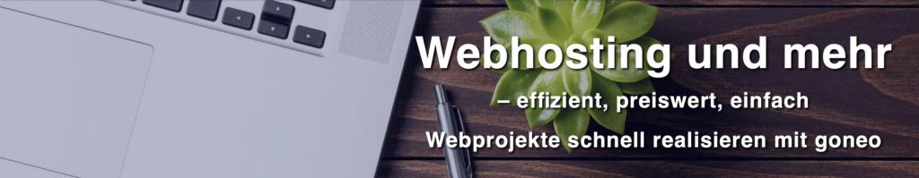 GONEO - German web hosting in the detailed test