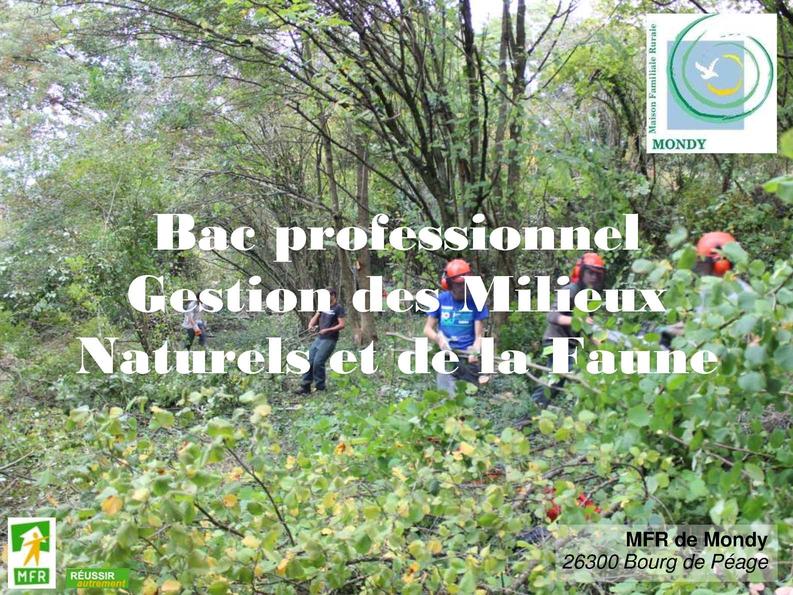 Bac pro gestion des milieux naturels et de la faune (Alt.) 