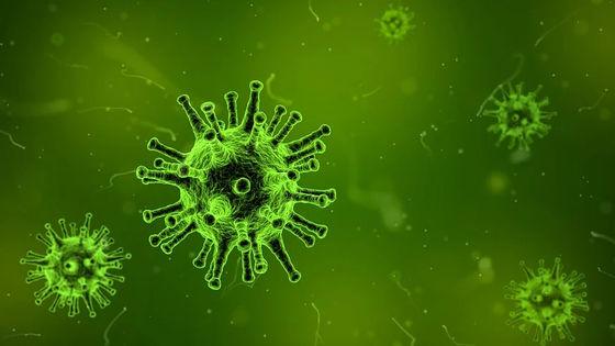インフルエンザウイルスの中に絶滅したものがある可能性、新型コロナウイルス感染対策の影響か 