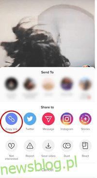How to download TikTok videos without watermark 